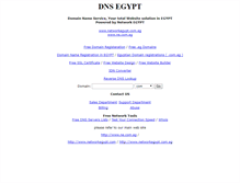 Tablet Screenshot of dnsegypt.com